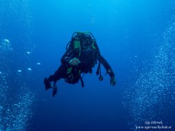 Red Sea 2024