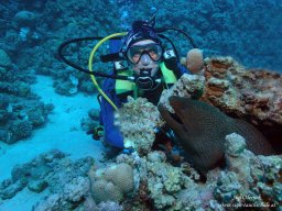 Red Sea 2024